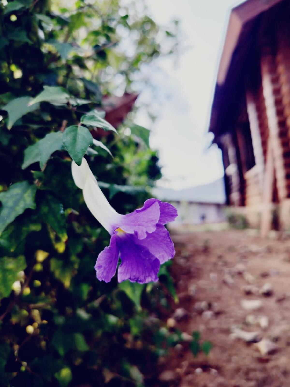 The Heart Of Heaven Āmbavna Exterior foto